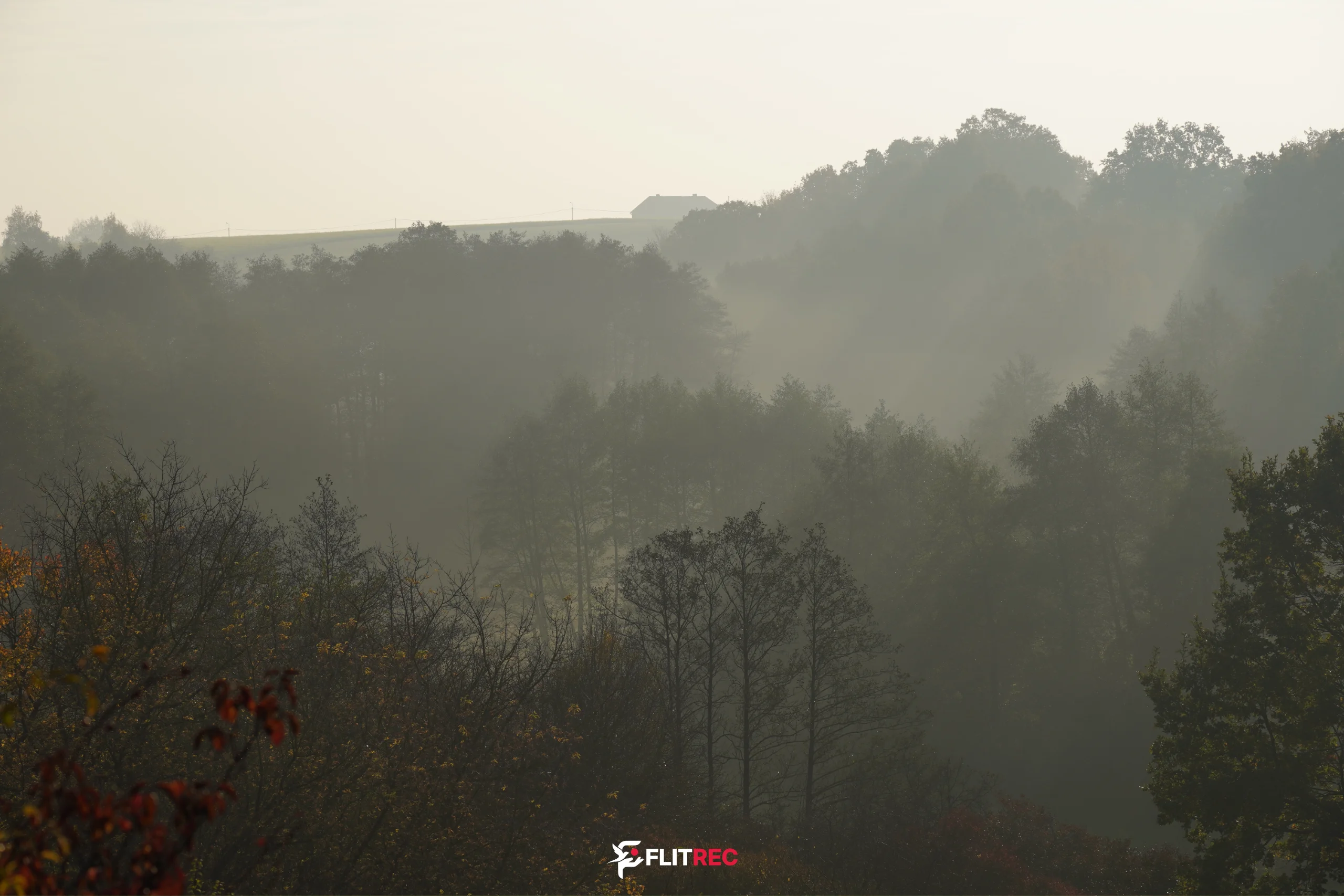 Jesienna mgła nad skarpą w Zarzeczewie