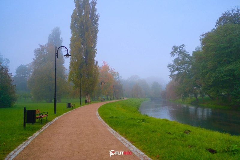 Zgłowiączka w oparach świtu