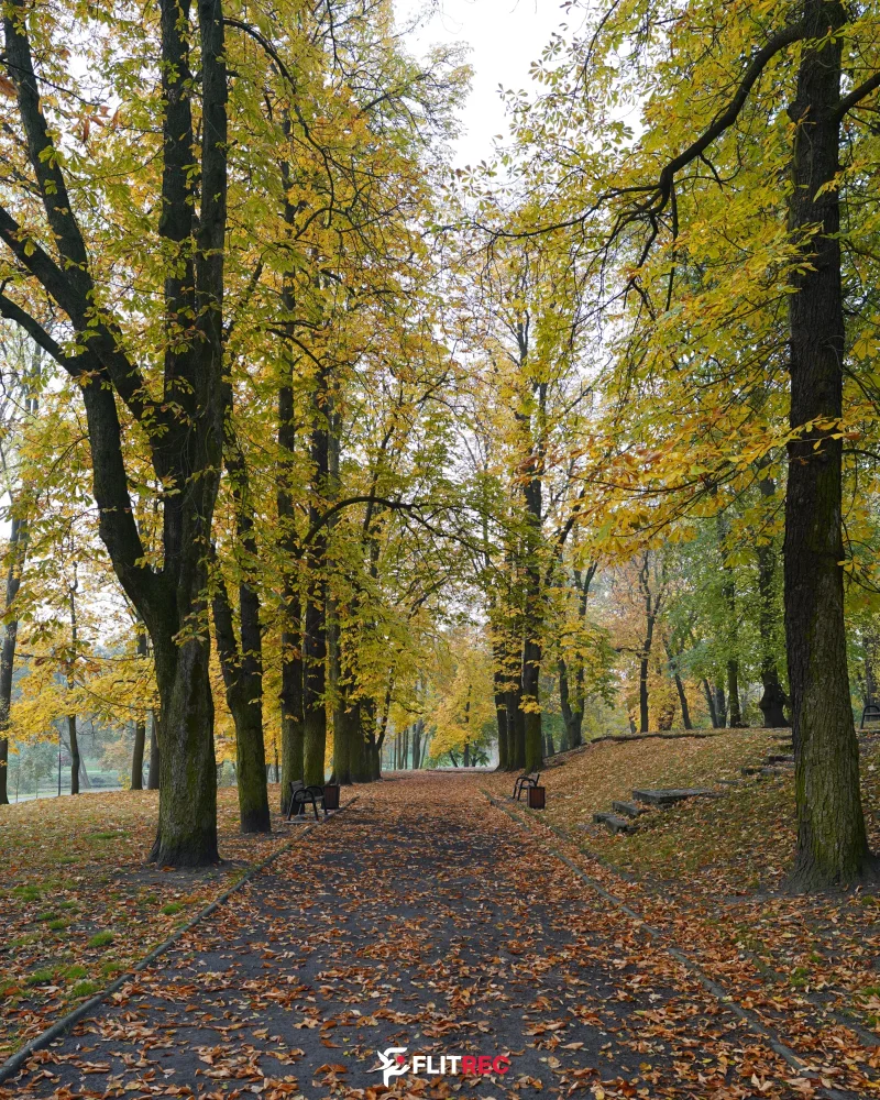 Złoto Włocławka